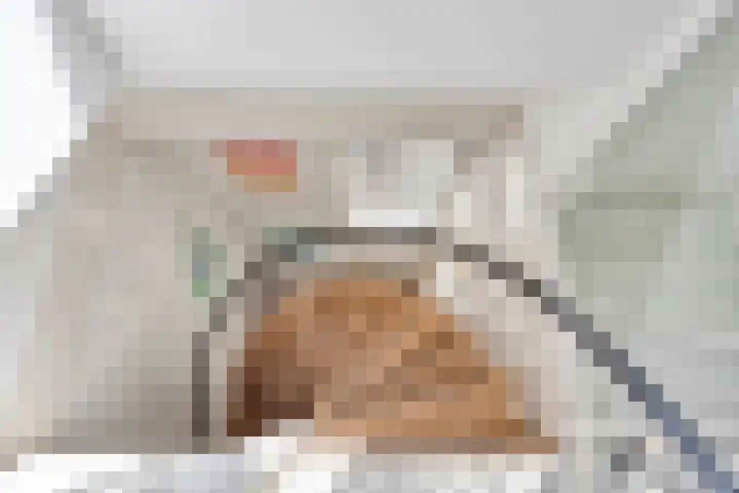 Zoutershof 17 Roelofarendsveen thumbnail 17
