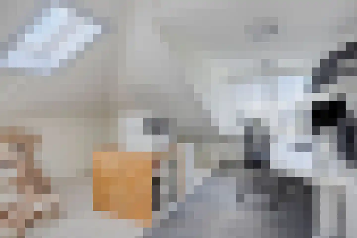 Zoutershof 17 Roelofarendsveen thumbnail 19