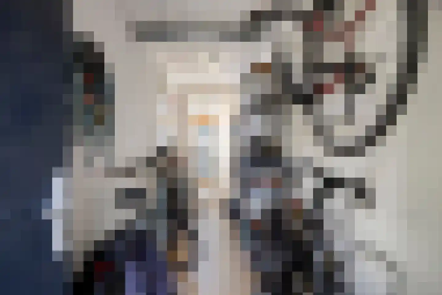 Zoutershof 38 Roelofarendsveen thumbnail 19