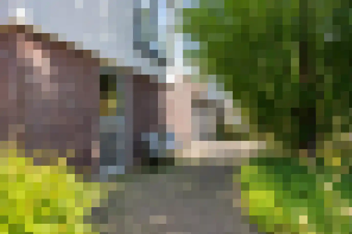 Zoutershof 38 Roelofarendsveen thumbnail 22