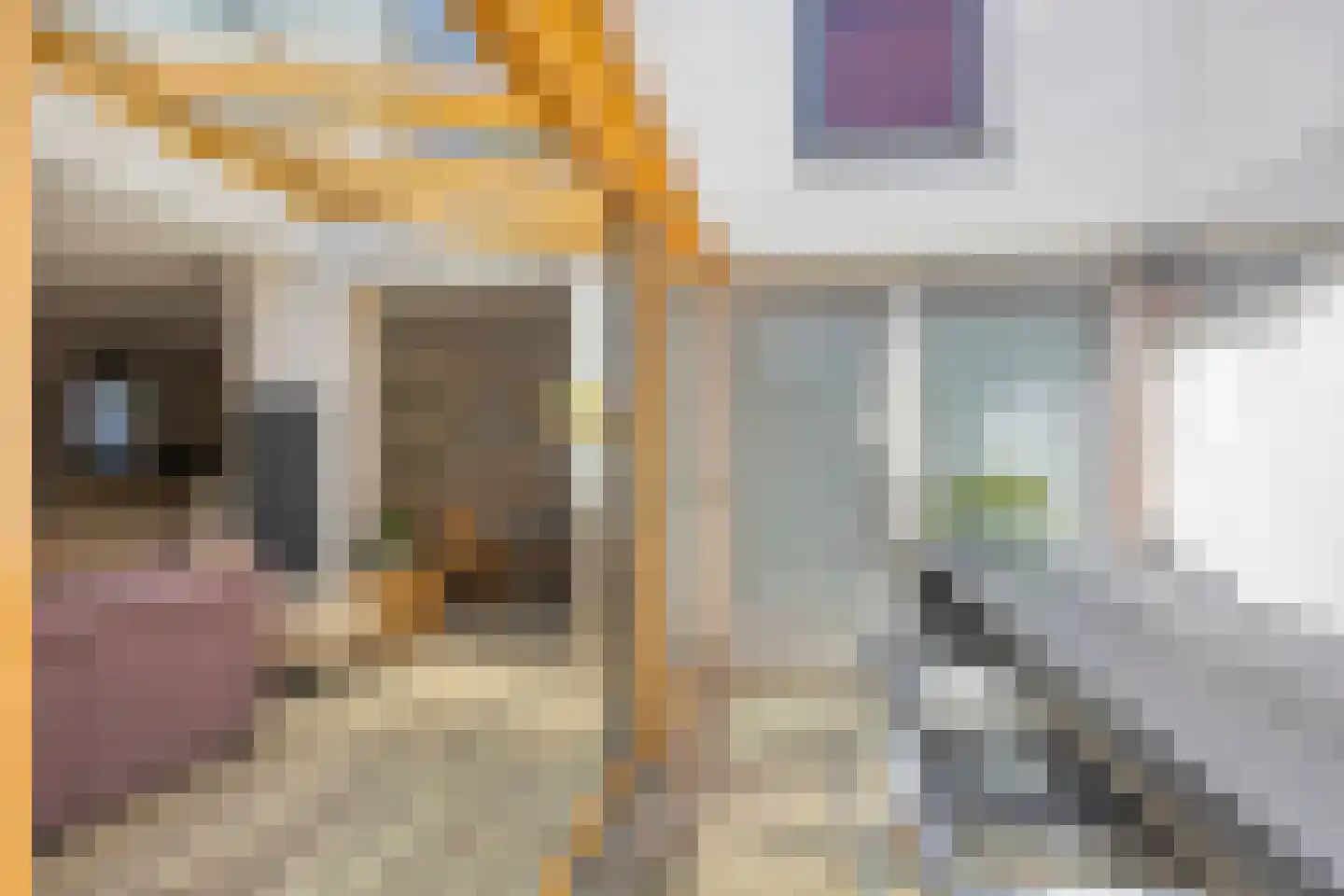 Zoutershof 38 Roelofarendsveen thumbnail 5