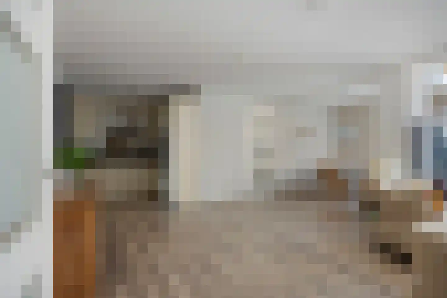 Zoutershof 38 Roelofarendsveen thumbnail 7