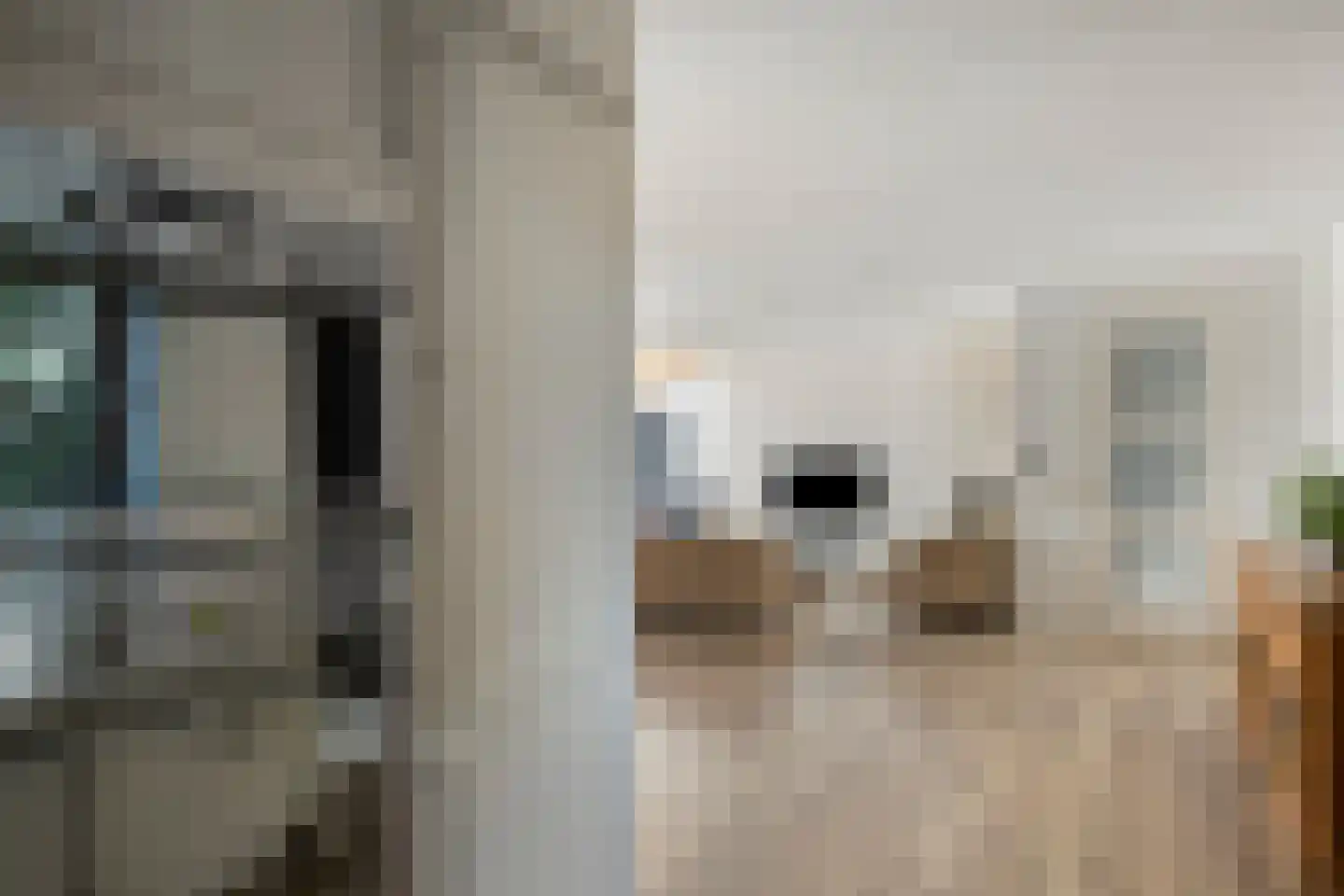 Zoutershof 38 Roelofarendsveen thumbnail 9