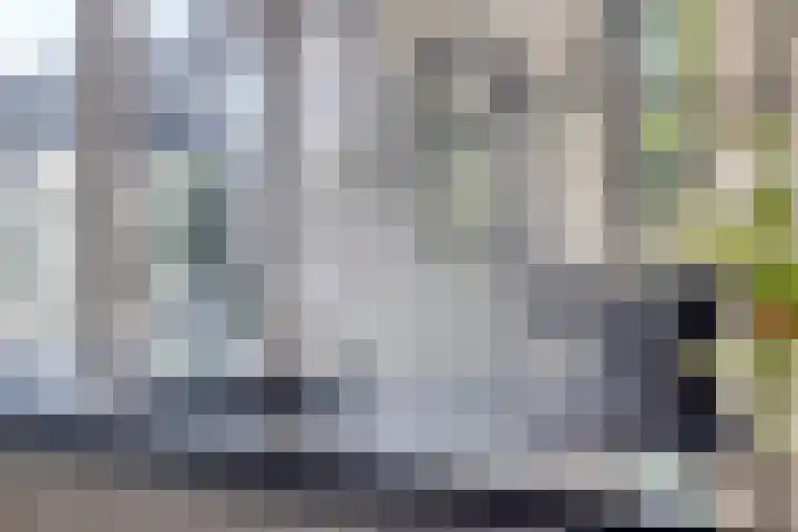 Zoutestraat 130 Hulst thumbnail 10