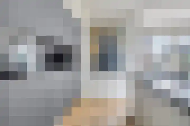 Zoutestraat 130 Hulst thumbnail 12