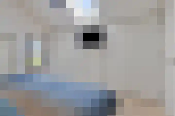 Zoutestraat 130 Hulst thumbnail 20