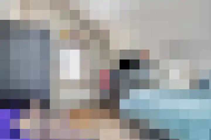 Zoutestraat 130 Hulst thumbnail 21