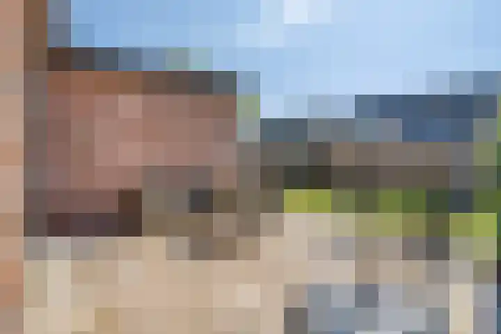 Zoutestraat 130 Hulst thumbnail 23