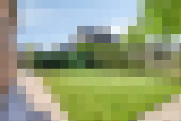 Zoutestraat 130 Hulst thumbnail 25
