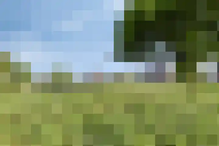 Zoutestraat 130 Hulst thumbnail 28