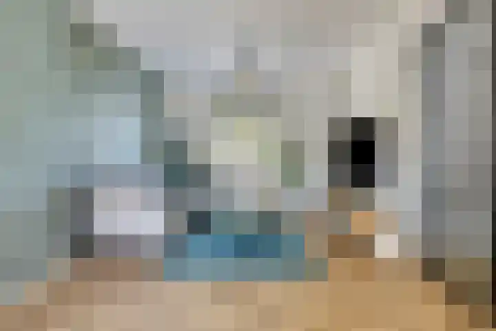 Zoutestraat 130 Hulst thumbnail 5