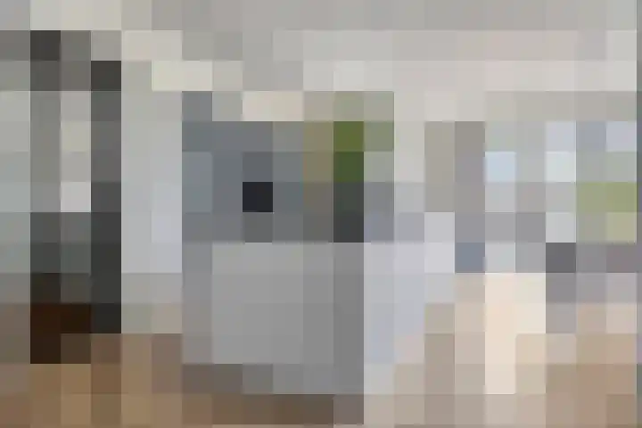 Zoutestraat 130 Hulst thumbnail 7