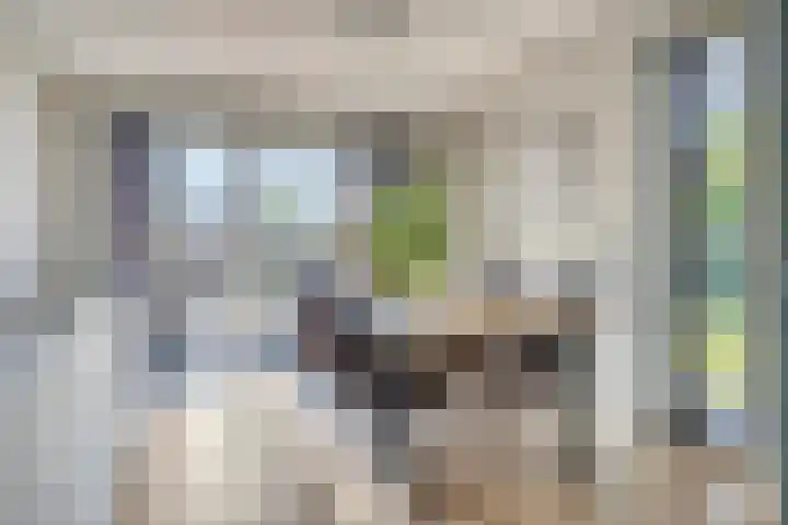 Zoutestraat 130 Hulst thumbnail 8