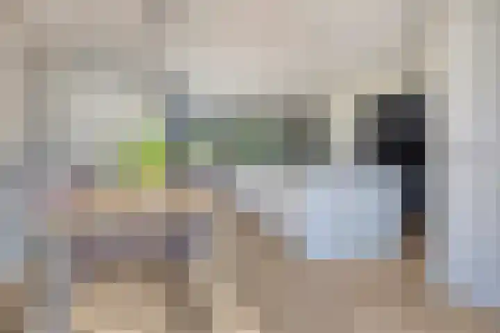 Zoutestraat 130 Hulst thumbnail 9