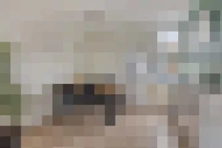 Zoutestraat 132 Hulst thumbnail 10