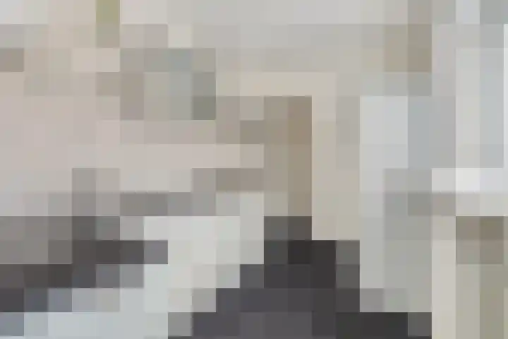 Zoutestraat 132 Hulst thumbnail 12