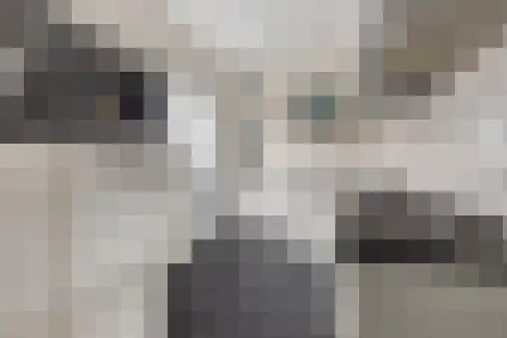 Zoutestraat 132 Hulst thumbnail 13