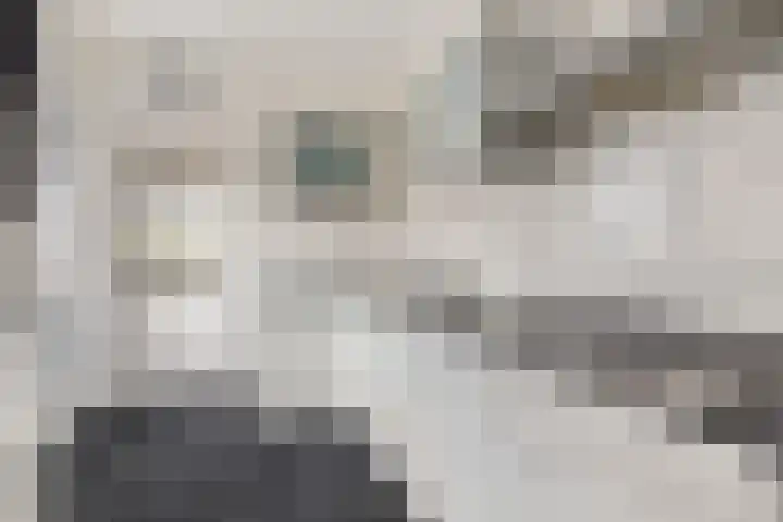 Zoutestraat 132 Hulst thumbnail 14