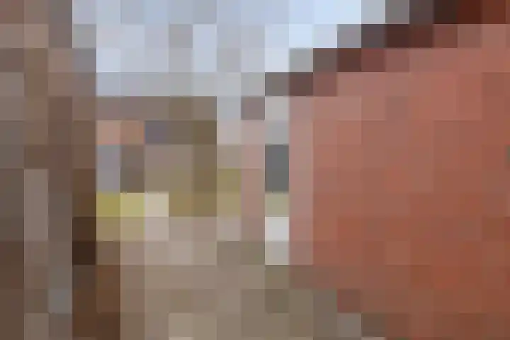 Zoutestraat 132 Hulst thumbnail 25