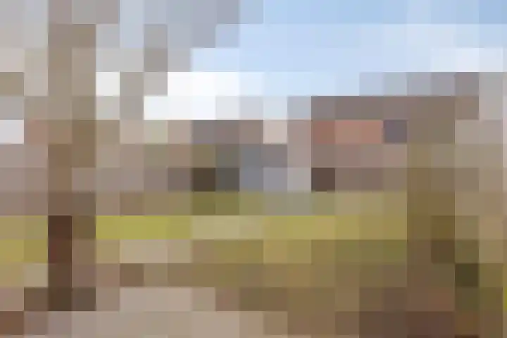 Zoutestraat 132 Hulst thumbnail 26