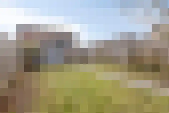 Zoutestraat 132 Hulst thumbnail 27