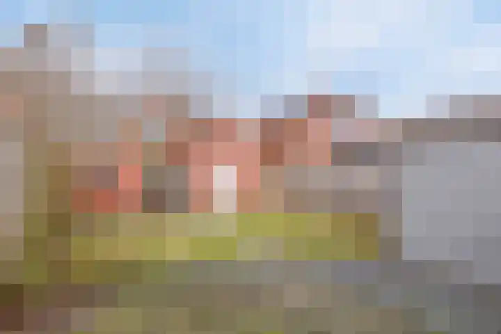 Zoutestraat 132 Hulst thumbnail 29