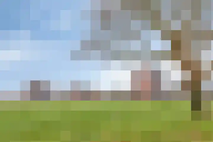 Zoutestraat 132 Hulst thumbnail 30