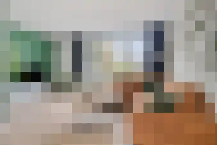 Zoutestraat 132 Hulst thumbnail 7