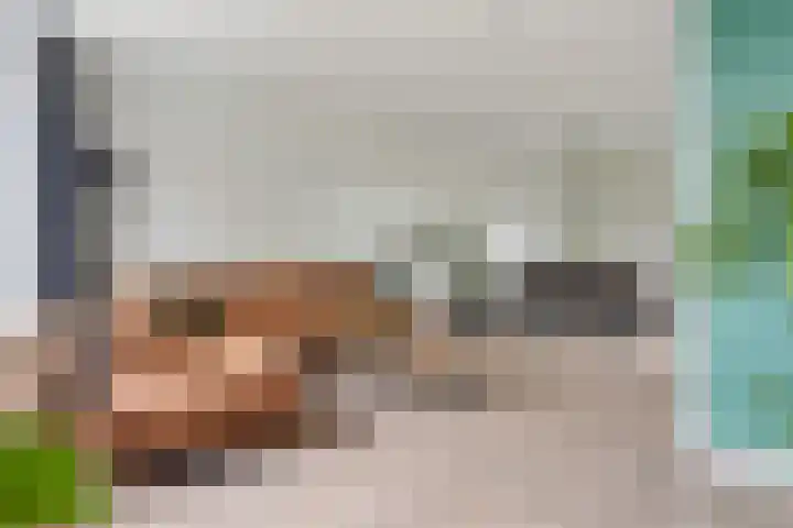 Zoutestraat 132 Hulst thumbnail 8
