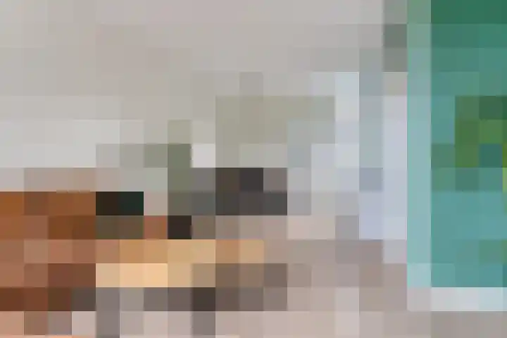 Zoutestraat 132 Hulst thumbnail 9