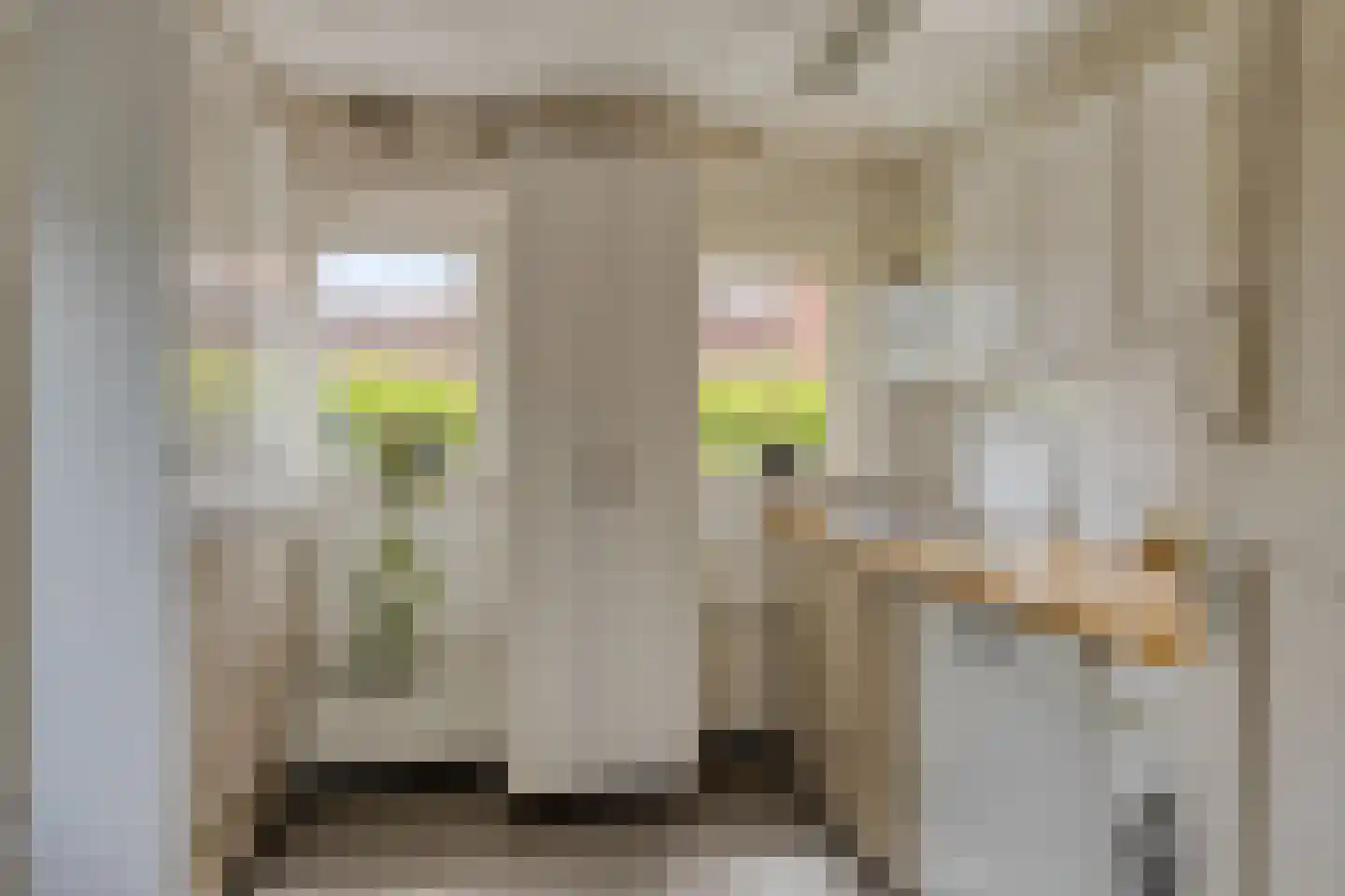 Zoutestraat 14 Hulst thumbnail 19
