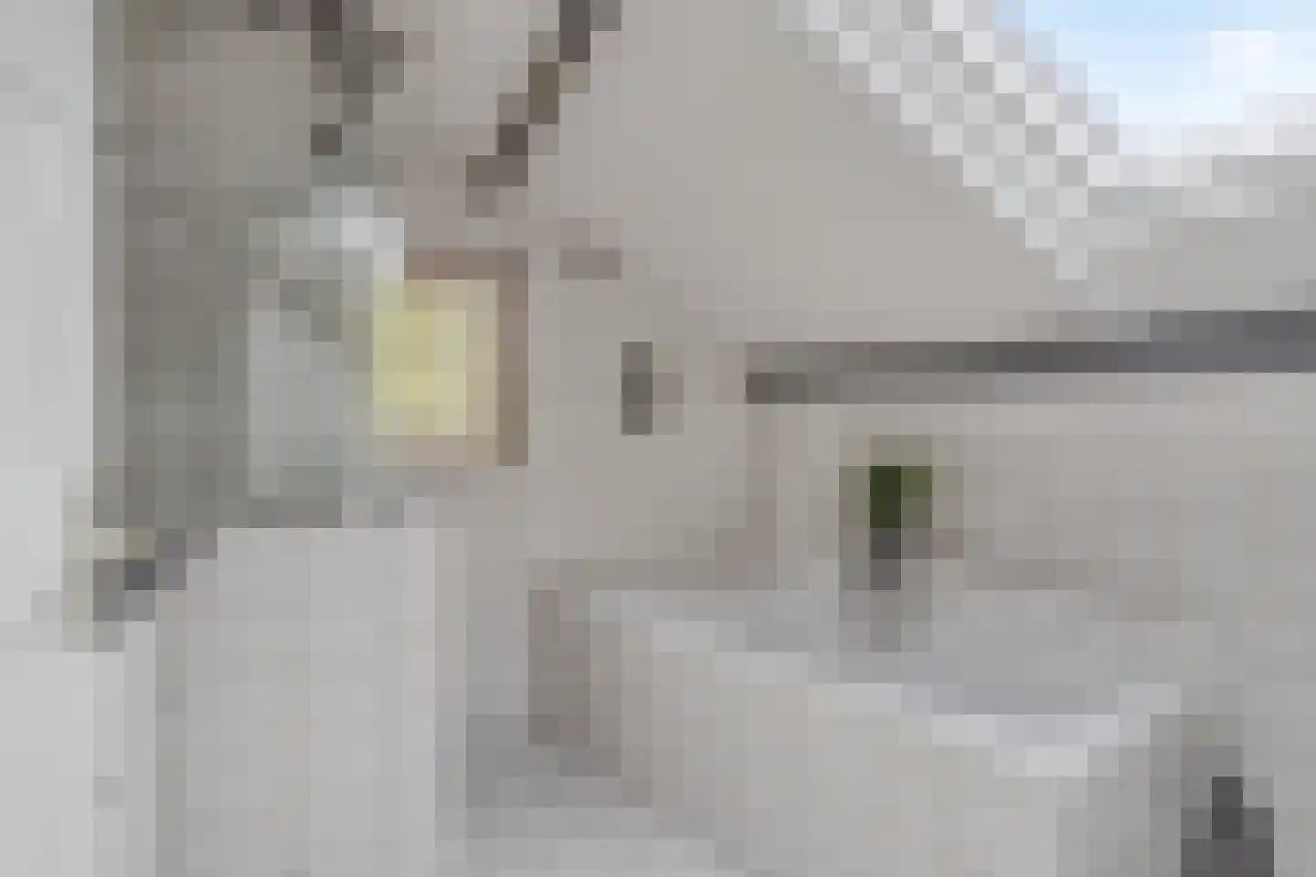 Zoutestraat 14 Hulst thumbnail 27