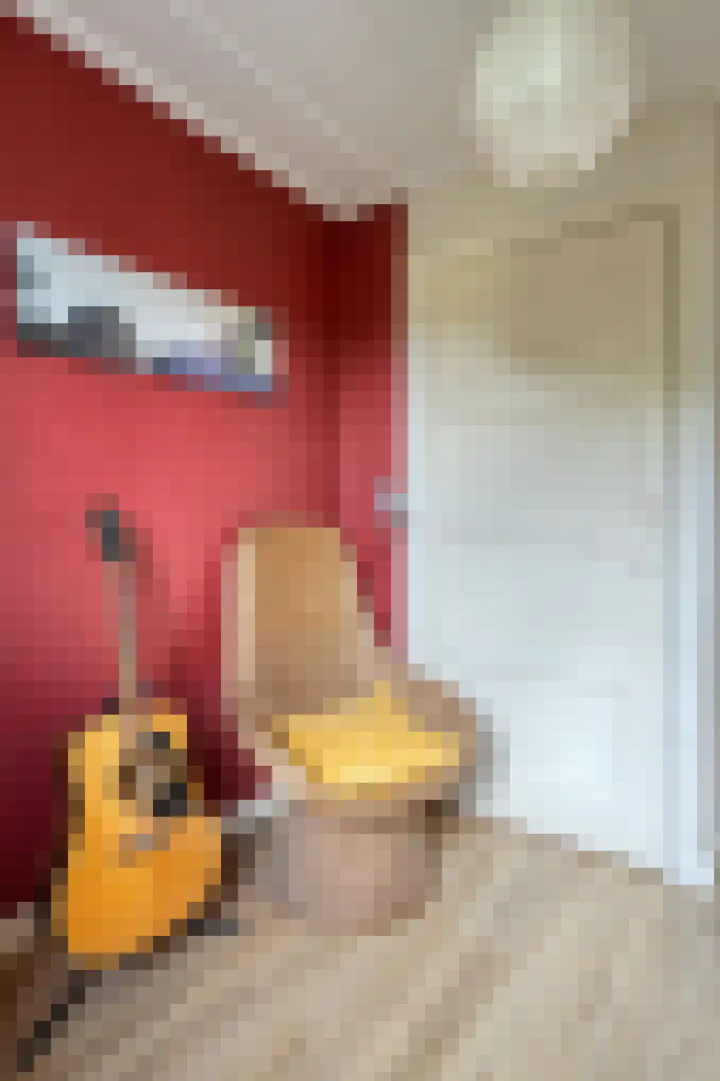 Zoutestraat 14 Hulst thumbnail 35