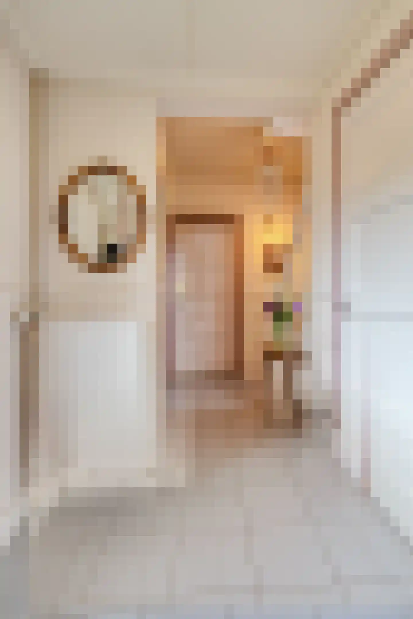Zoutestraat 14 Hulst thumbnail 4