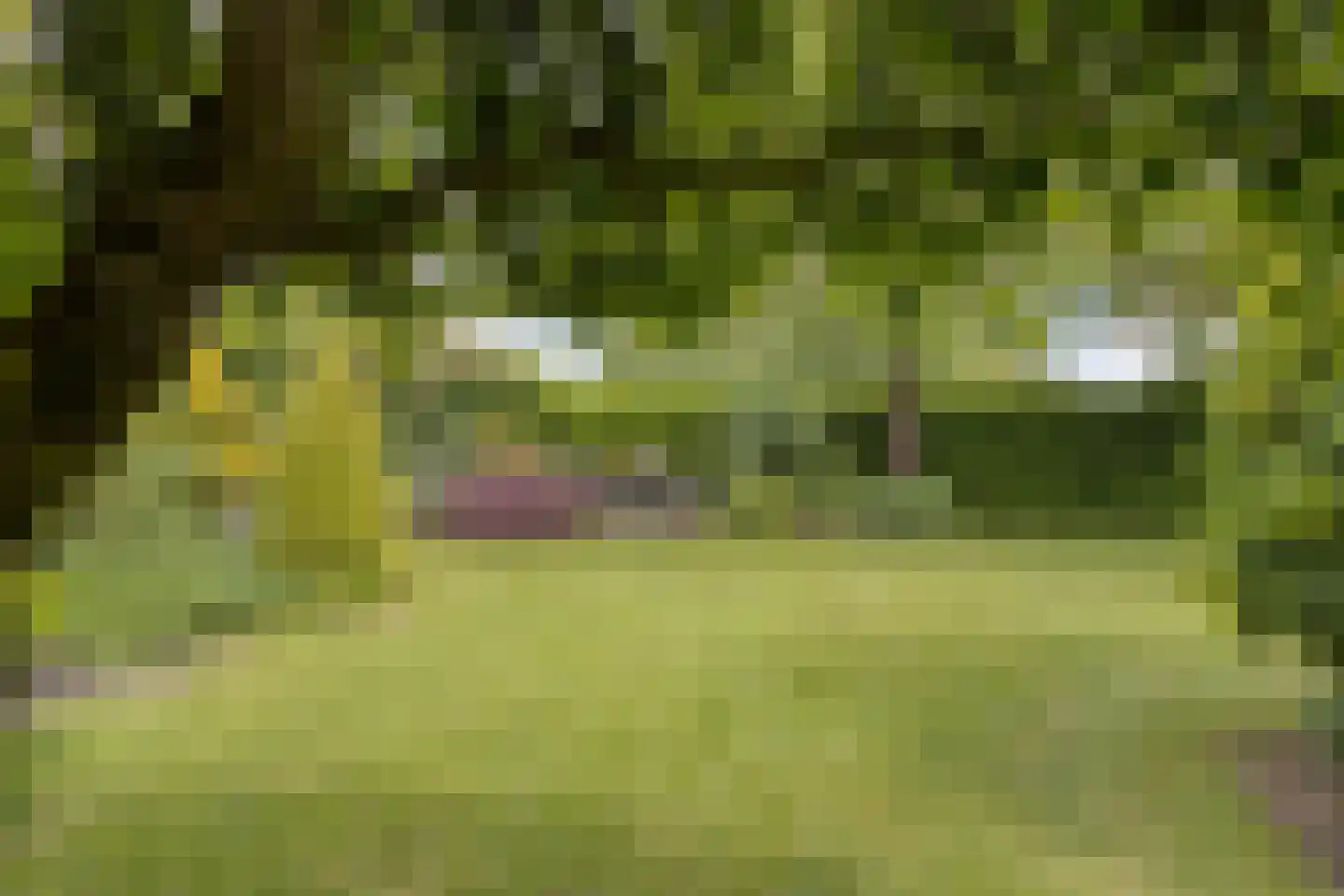 Zoutestraat 14 Hulst thumbnail 42