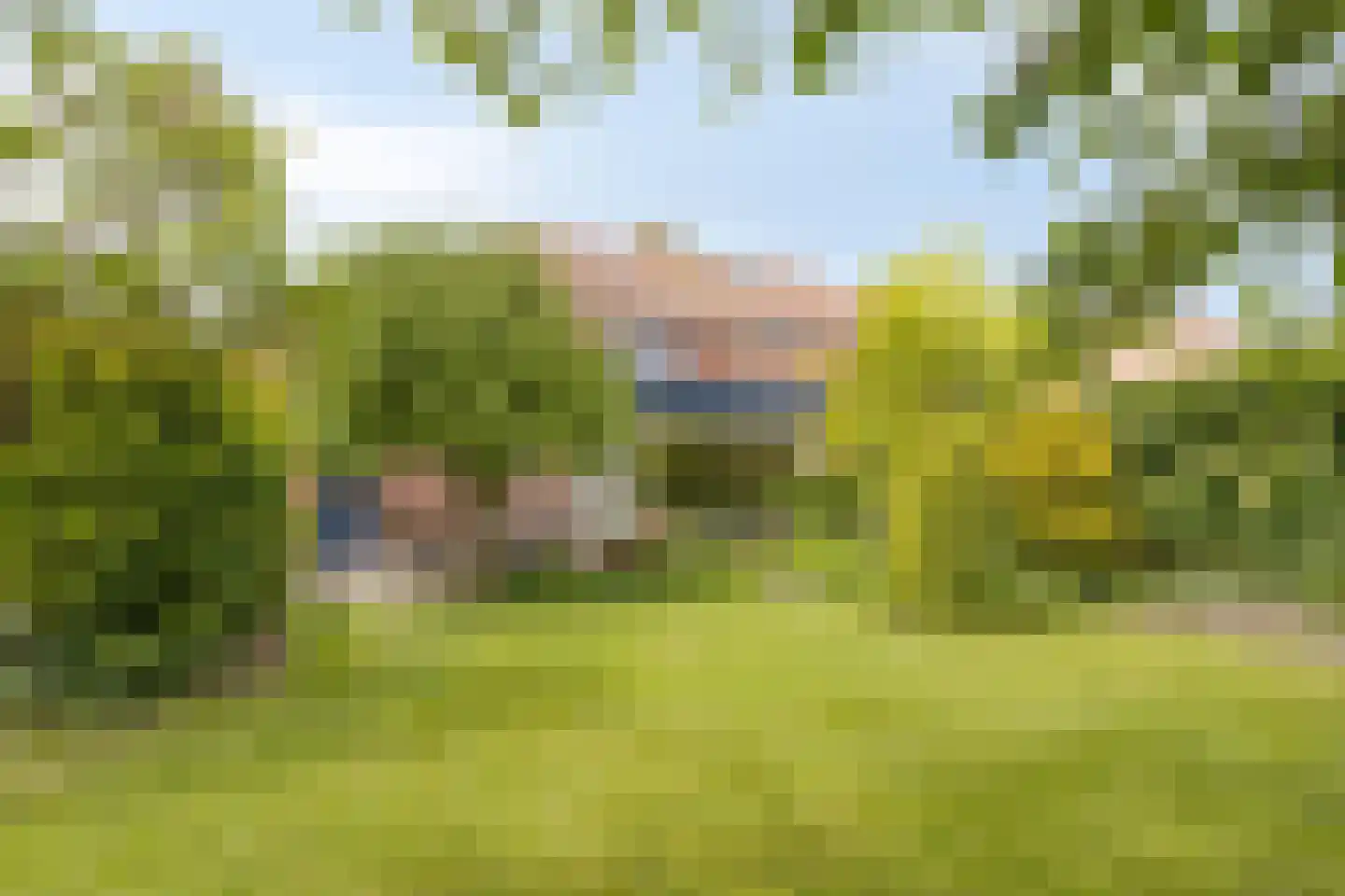 Zoutestraat 14 Hulst thumbnail 45