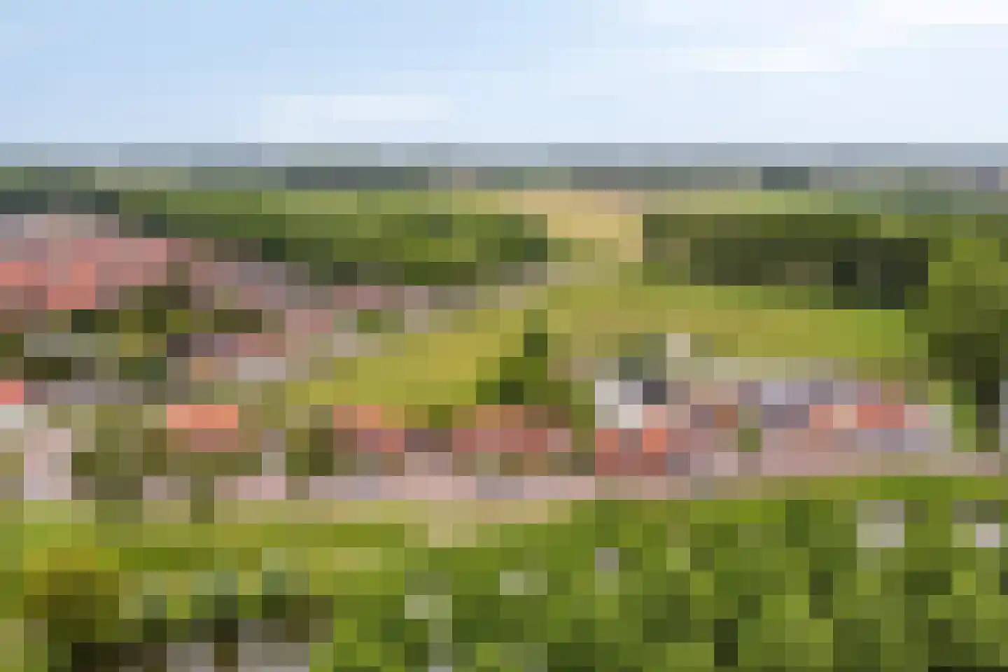 Zoutestraat 14 Hulst thumbnail 51