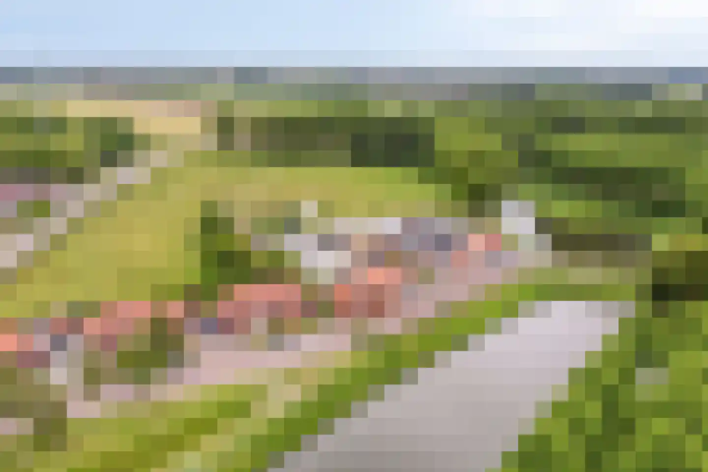 Zoutestraat 14 Hulst thumbnail 52