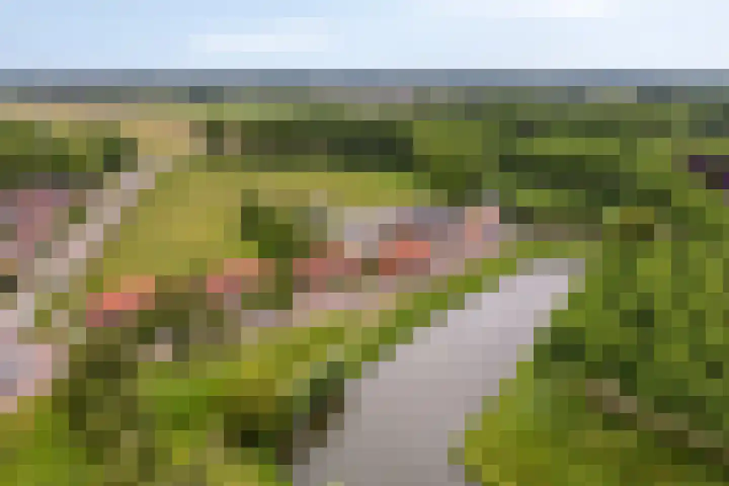 Zoutestraat 14 Hulst thumbnail 53