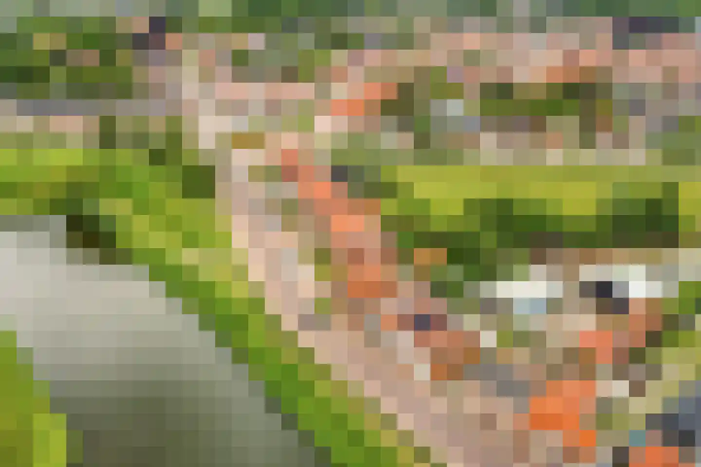 Zoutestraat 14 Hulst thumbnail 54
