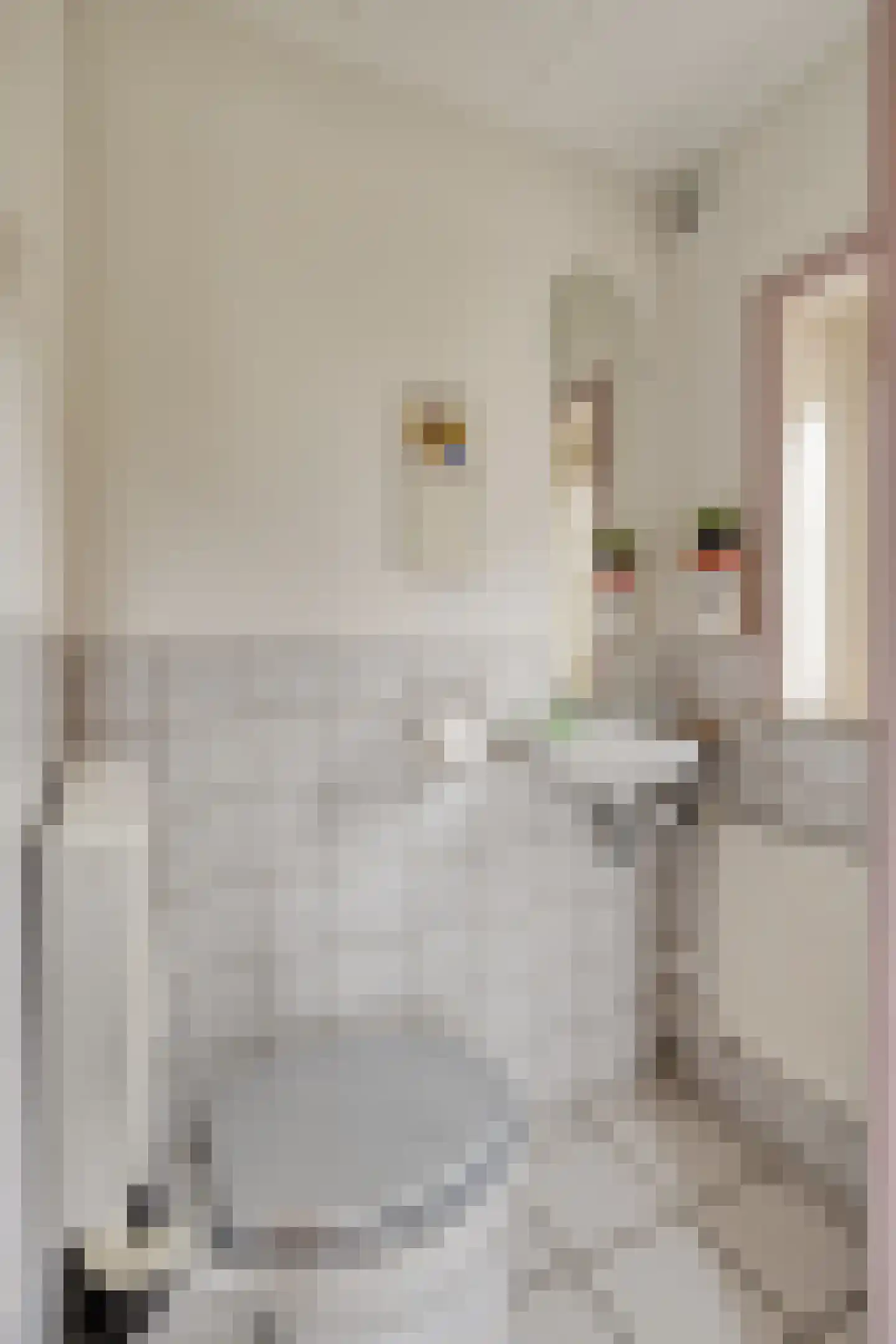 Zoutestraat 14 Hulst thumbnail 7