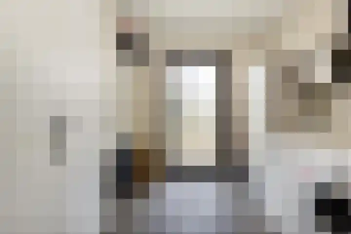 Zoutestraat 180 C Hulst thumbnail 13