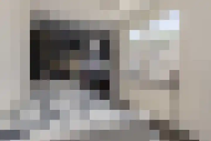 Zoutestraat 180 C Hulst thumbnail 21
