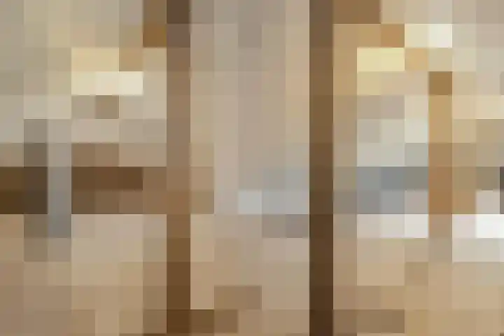 Zoutestraat 180 C Hulst thumbnail 23