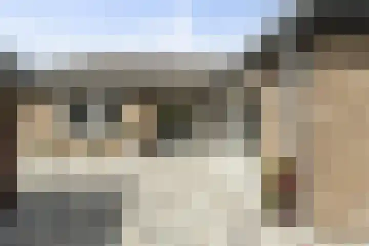 Zoutestraat 180 C Hulst thumbnail 31