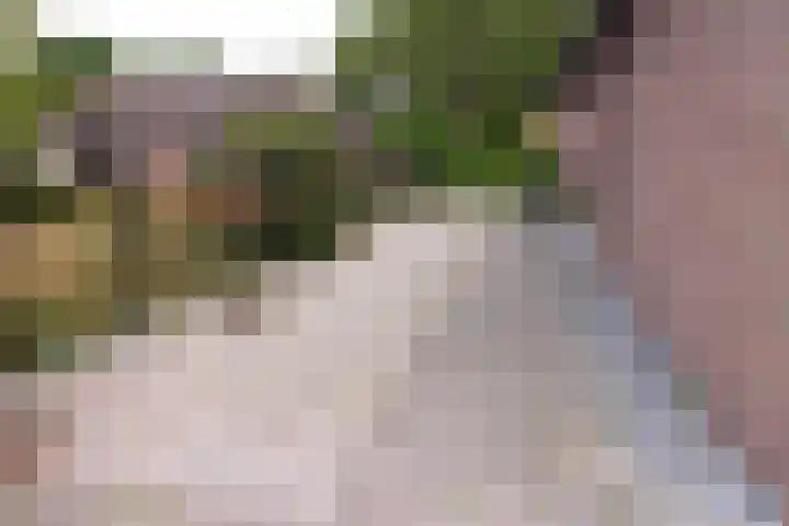 Zoutestraat 180 C Hulst thumbnail 32
