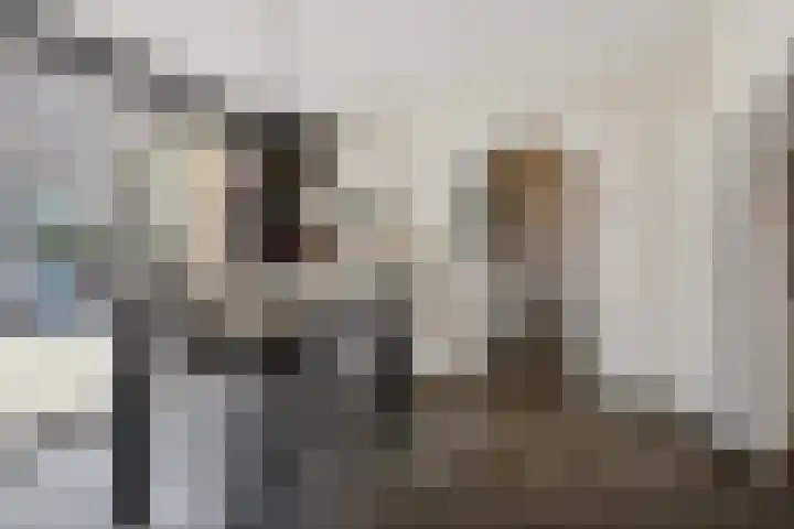 Zoutestraat 180 C Hulst thumbnail 4