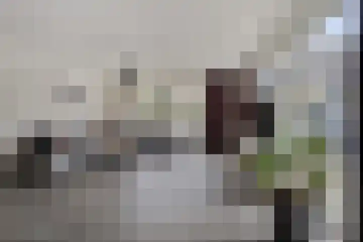 Zoutestraat 180 C Hulst thumbnail 5