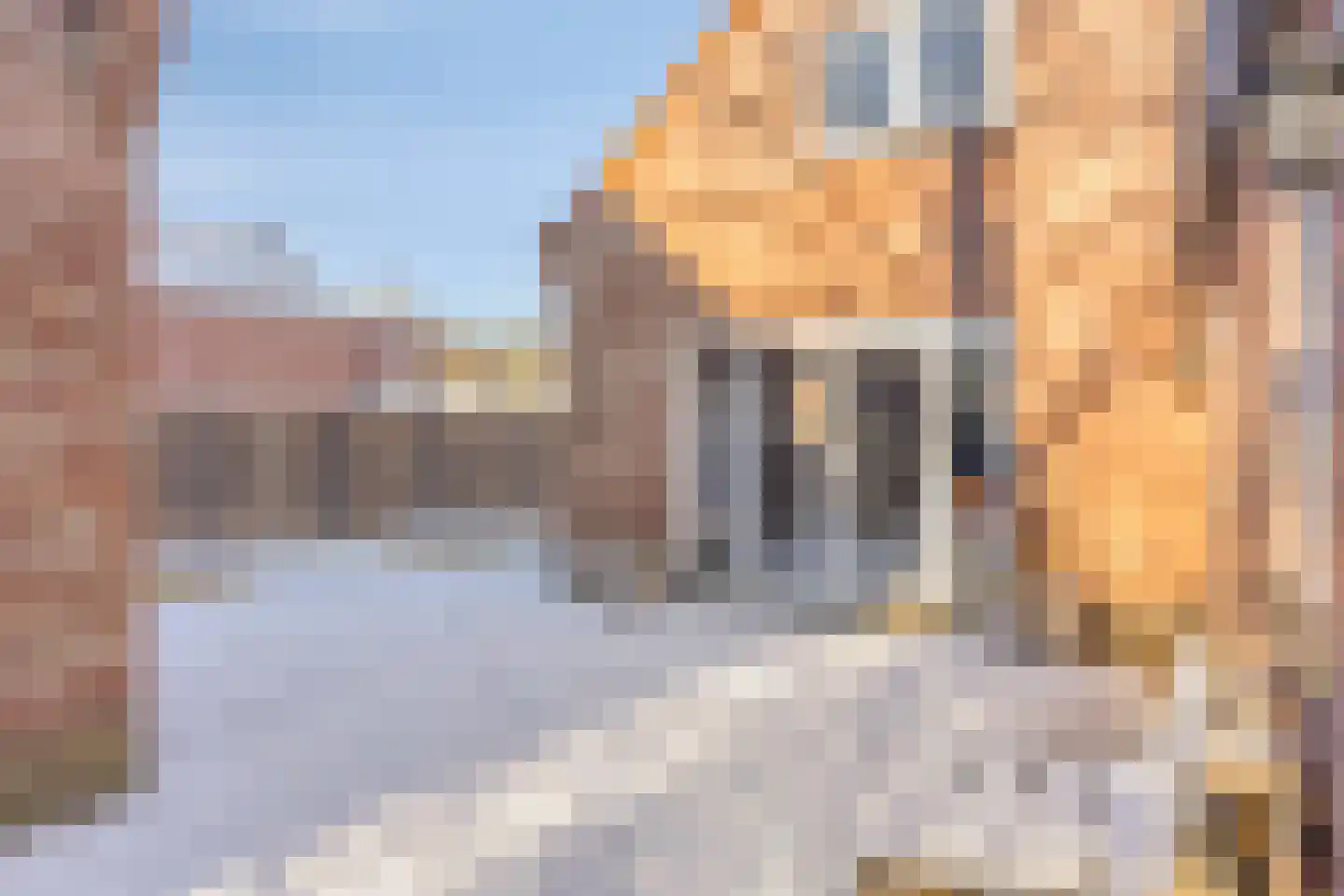 Zoutestraat 180 Hulst thumbnail 27