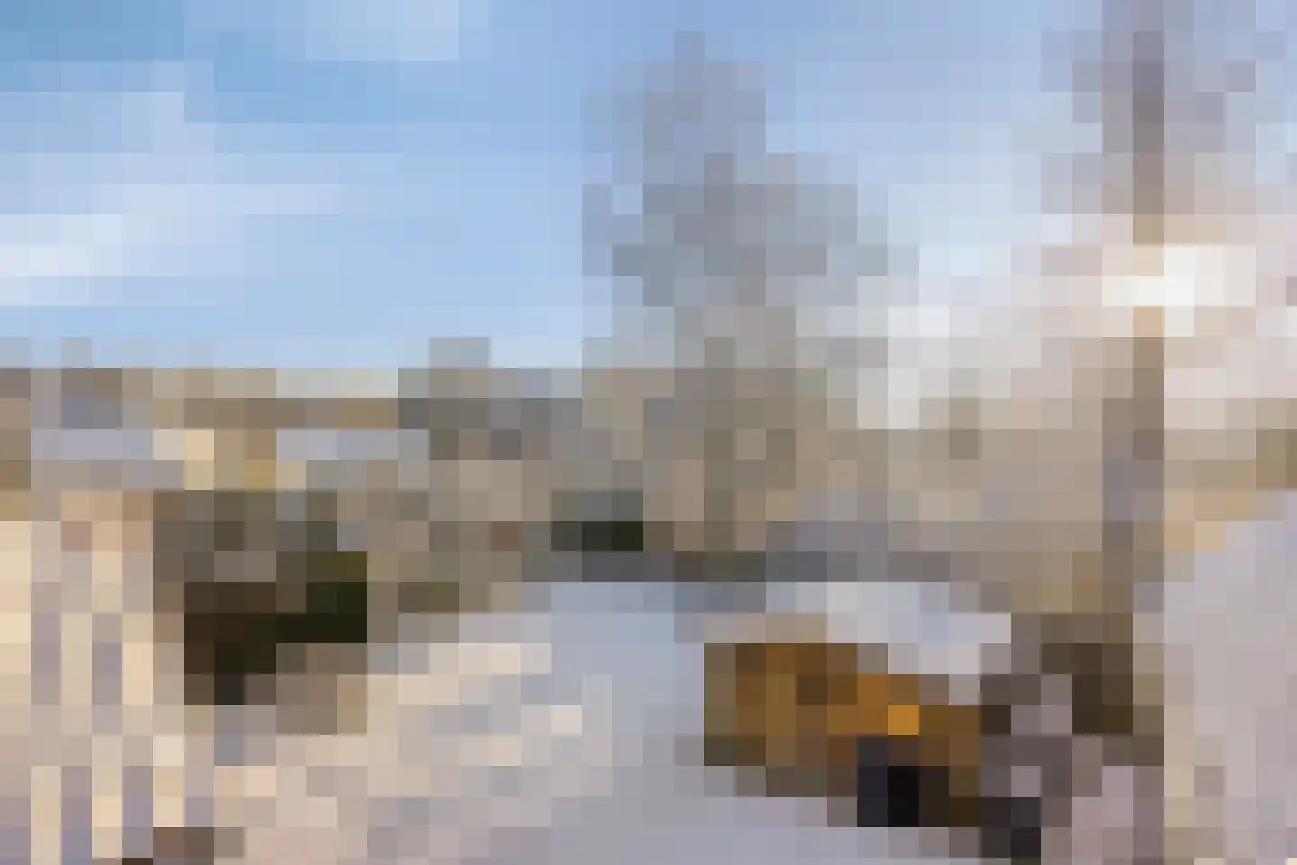 Zoutestraat 180 Hulst thumbnail 36